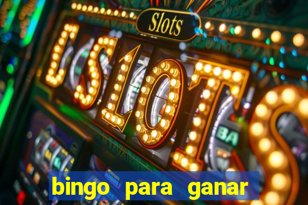 bingo para ganar dinero en paypal