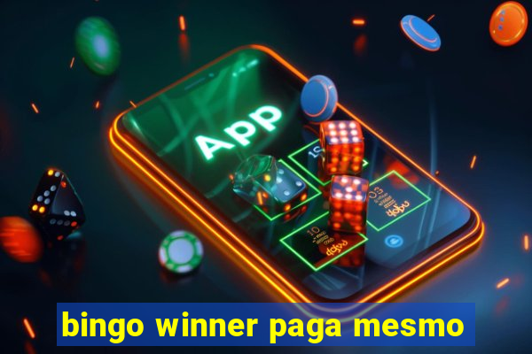 bingo winner paga mesmo