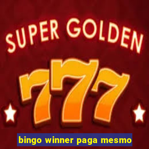 bingo winner paga mesmo