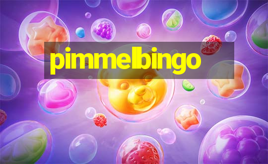 pimmelbingo