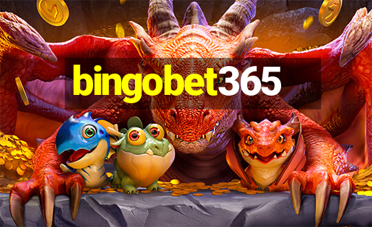 bingobet365