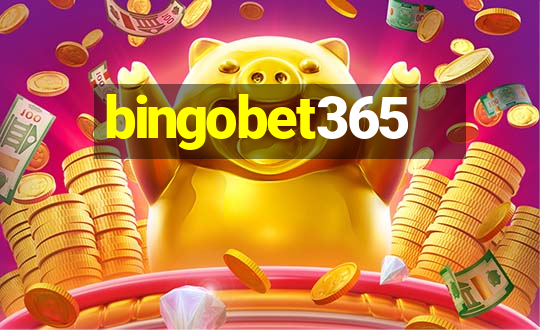 bingobet365