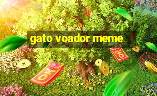 gato voador meme