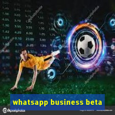 whatsapp business beta