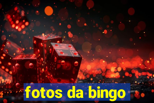 fotos da bingo