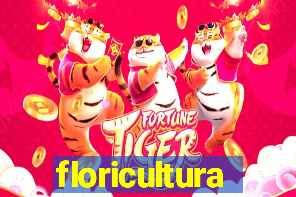 floricultura cruzeiro novo