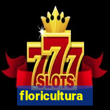 floricultura cruzeiro novo