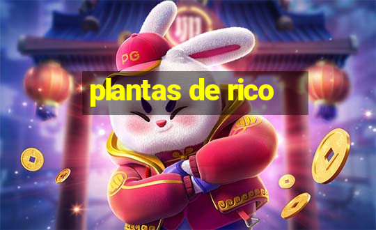 plantas de rico