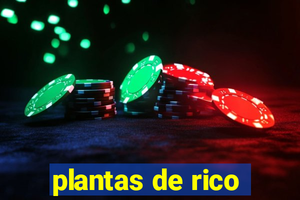 plantas de rico