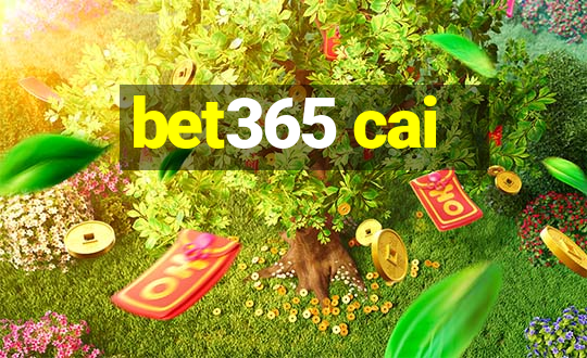 bet365 cai