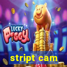 stript cam