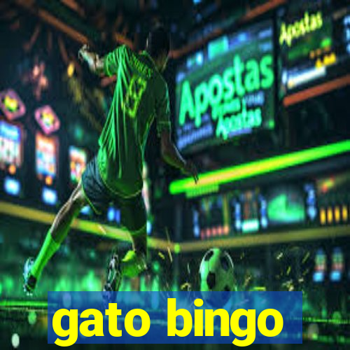 gato bingo