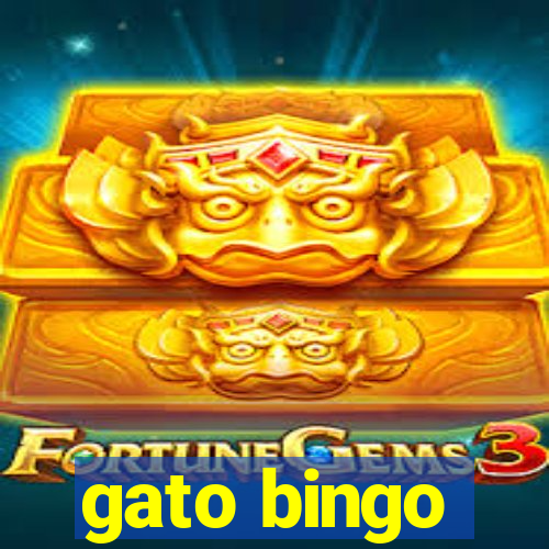 gato bingo