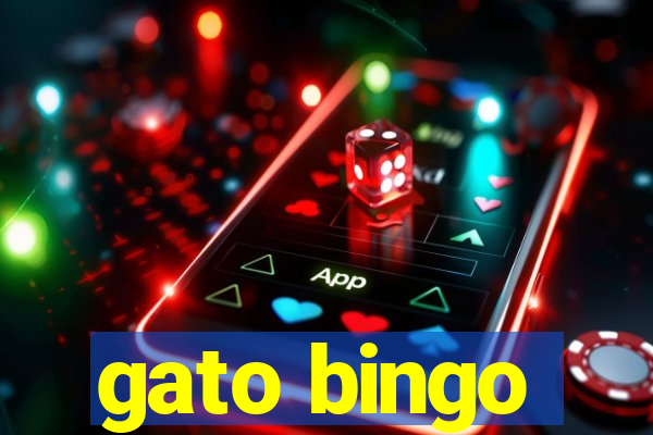 gato bingo