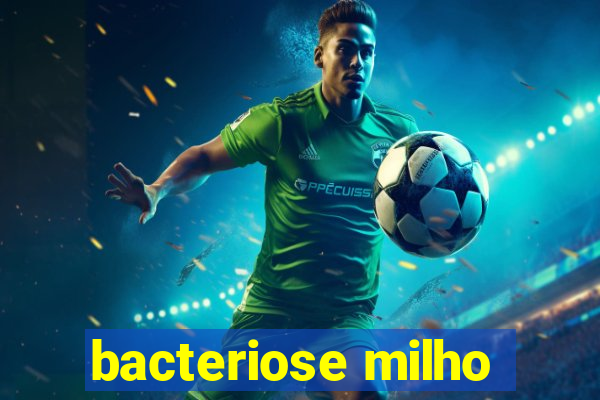 bacteriose milho