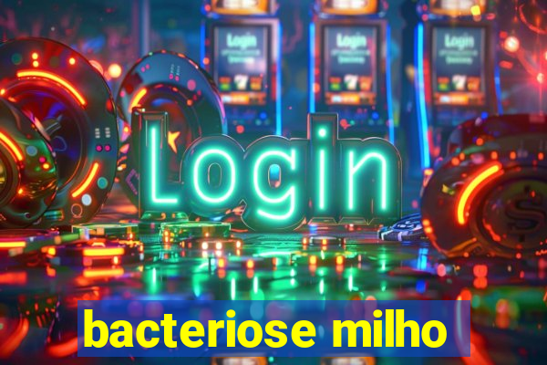 bacteriose milho