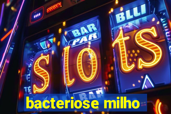 bacteriose milho