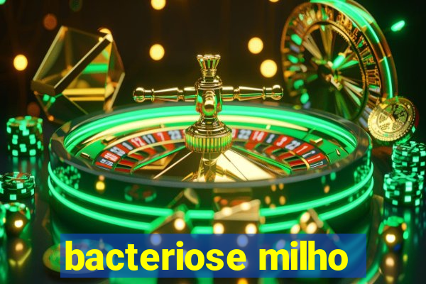 bacteriose milho