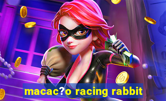 macac?o racing rabbit