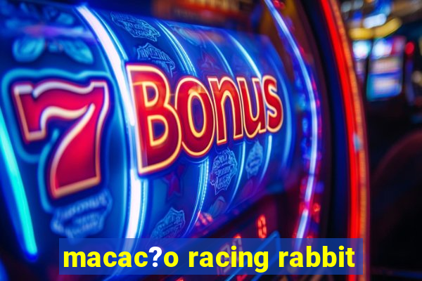 macac?o racing rabbit