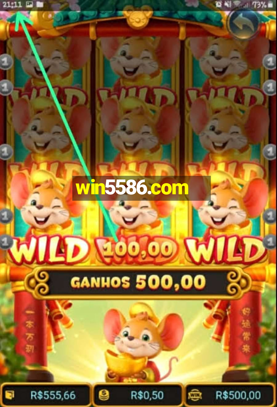 win5586.com