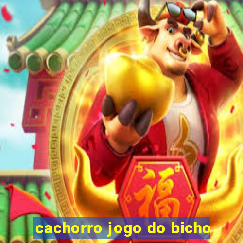 cachorro jogo do bicho