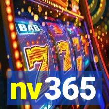 nv365