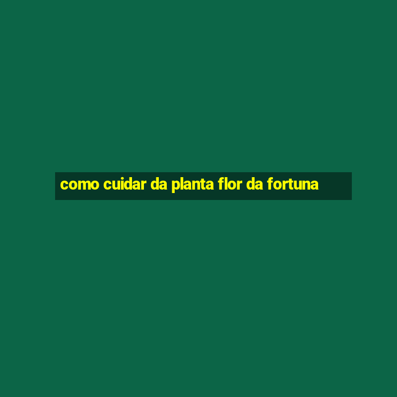 como cuidar da planta flor da fortuna