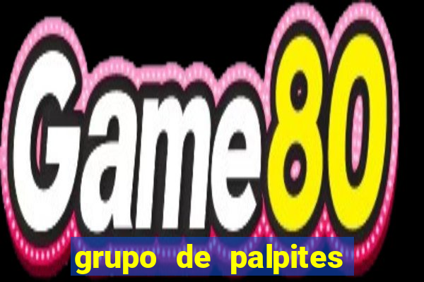 grupo de palpites de futebol whatsapp