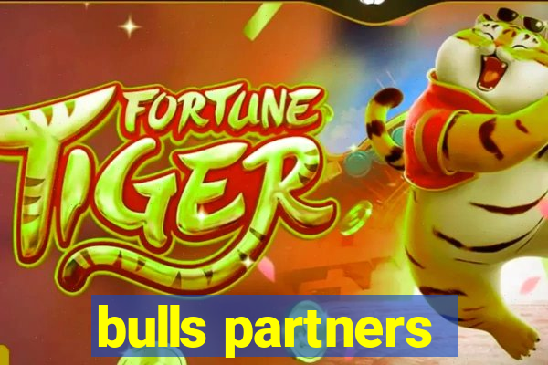 bulls partners