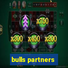 bulls partners