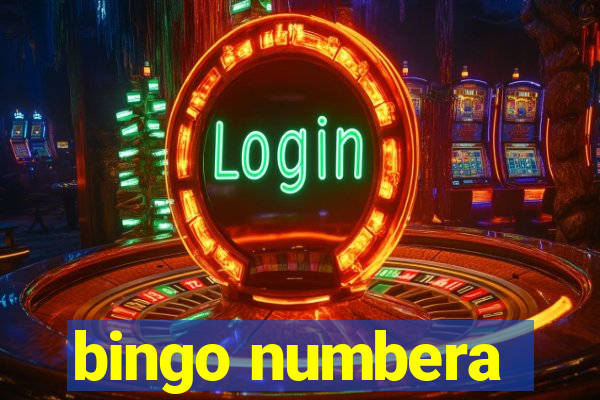 bingo numbera