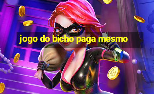 jogo do bicho paga mesmo