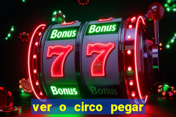 ver o circo pegar fogo significado