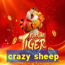 crazy sheep