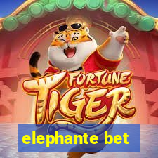 elephante bet