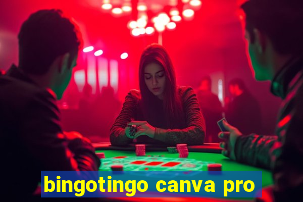 bingotingo canva pro