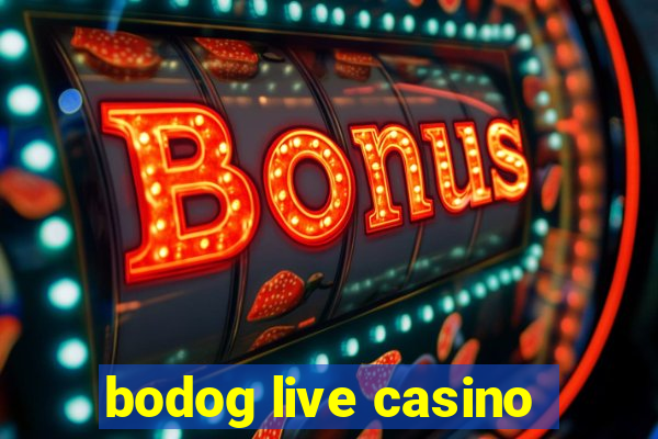 bodog live casino