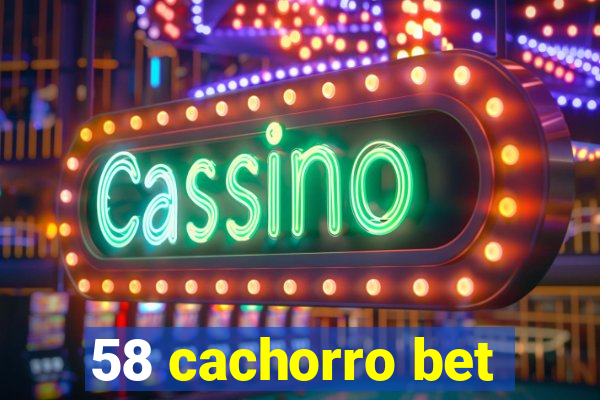 58 cachorro bet