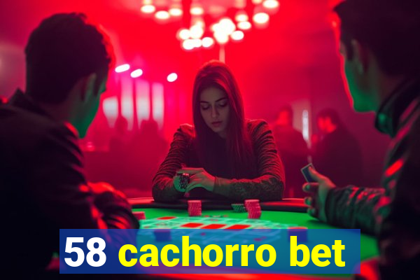 58 cachorro bet