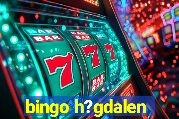 bingo h?gdalen