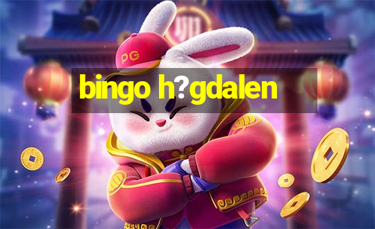 bingo h?gdalen