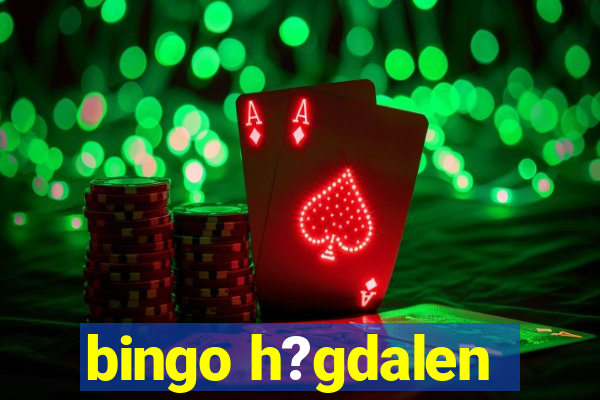 bingo h?gdalen