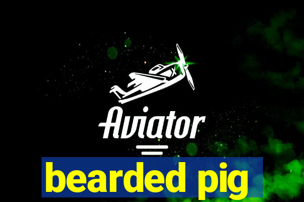 bearded pig