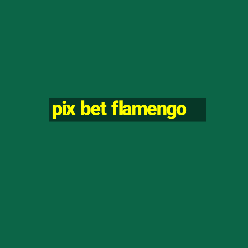 pix bet flamengo