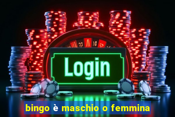 bingo è maschio o femmina