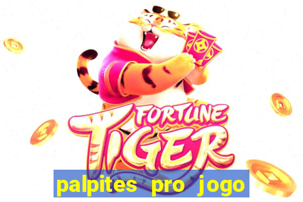 palpites pro jogo do flamengo