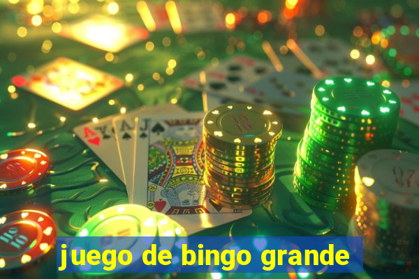 juego de bingo grande