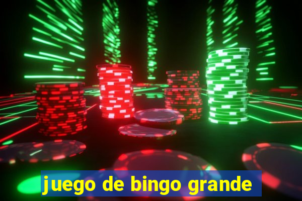 juego de bingo grande