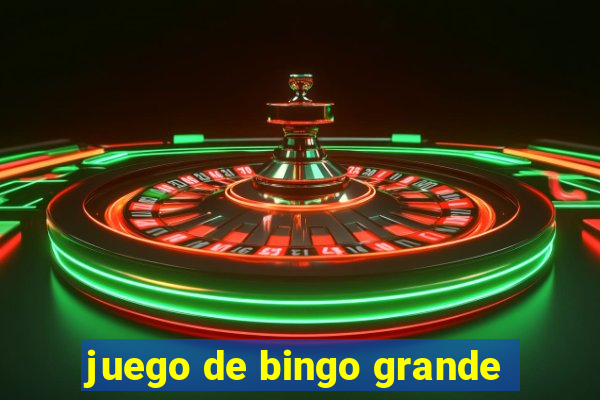 juego de bingo grande